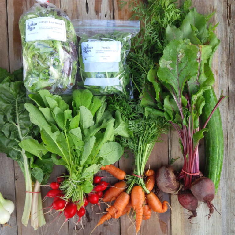 Spring/Summer 2026 Veggie Box- Small